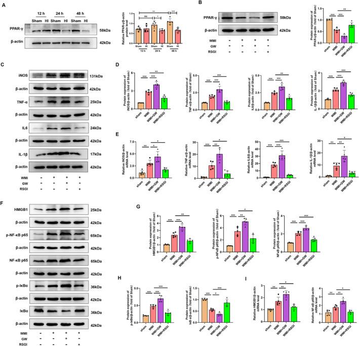 https://cdn.ncbi.nlm.nih.gov/pmc/blobs/4193/11534457/1b36e7597d76/CNS-30-e70081-g007.jpg