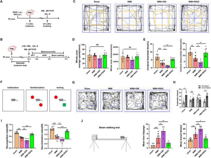 https://cdn.ncbi.nlm.nih.gov/pmc/blobs/4193/11534457/623cac43d4d9/CNS-30-e70081-g001.jpg
