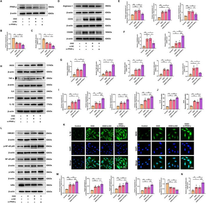 https://cdn.ncbi.nlm.nih.gov/pmc/blobs/4193/11534457/9e7675cb1bc4/CNS-30-e70081-g011.jpg