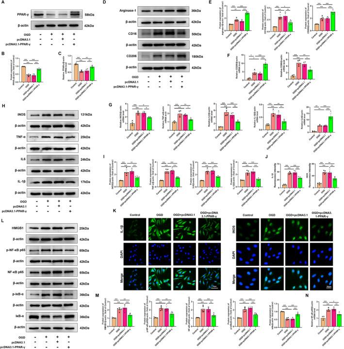 https://cdn.ncbi.nlm.nih.gov/pmc/blobs/4193/11534457/c27df31bbb08/CNS-30-e70081-g002.jpg