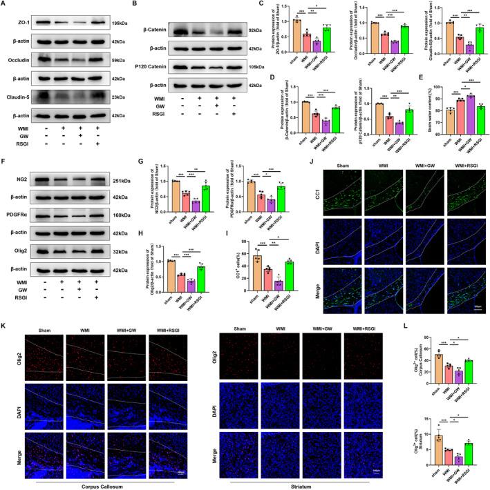 https://cdn.ncbi.nlm.nih.gov/pmc/blobs/4193/11534457/e54f9e9f2f61/CNS-30-e70081-g010.jpg