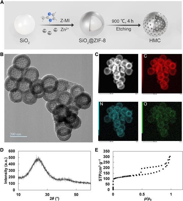 https://cdn.ncbi.nlm.nih.gov/pmc/blobs/4193/12062583/00febc406b6e/cbsystems.0247.fig.002.jpg