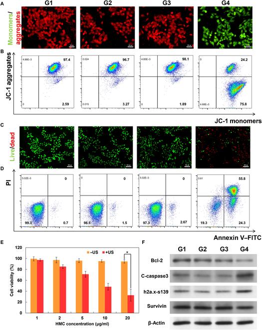 https://cdn.ncbi.nlm.nih.gov/pmc/blobs/4193/12062583/36de9dd9f32f/cbsystems.0247.fig.005.jpg