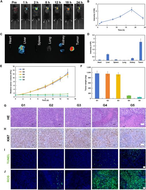 https://cdn.ncbi.nlm.nih.gov/pmc/blobs/4193/12062583/568bfd54266c/cbsystems.0247.fig.007.jpg