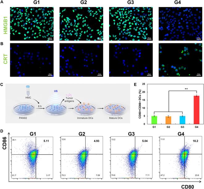 https://cdn.ncbi.nlm.nih.gov/pmc/blobs/4193/12062583/9e03cb26cc3b/cbsystems.0247.fig.006.jpg