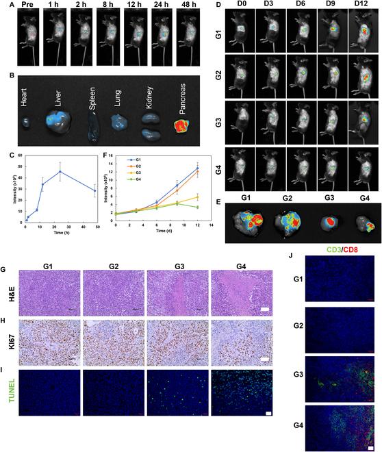 https://cdn.ncbi.nlm.nih.gov/pmc/blobs/4193/12062583/d8e375c72c24/cbsystems.0247.fig.009.jpg
