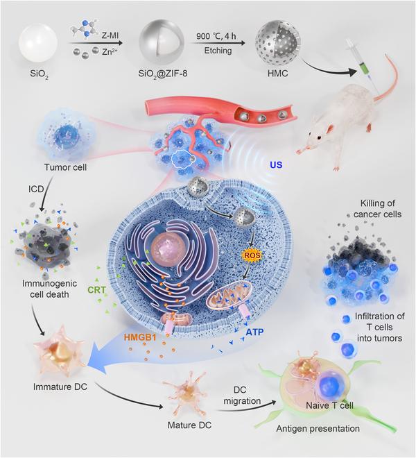 https://cdn.ncbi.nlm.nih.gov/pmc/blobs/4193/12062583/db518a8846bb/cbsystems.0247.fig.001.jpg