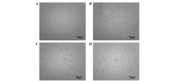 https://cdn.ncbi.nlm.nih.gov/pmc/blobs/4193/3786727/f7954c5858c5/ETM-06-02-0513-g00.jpg