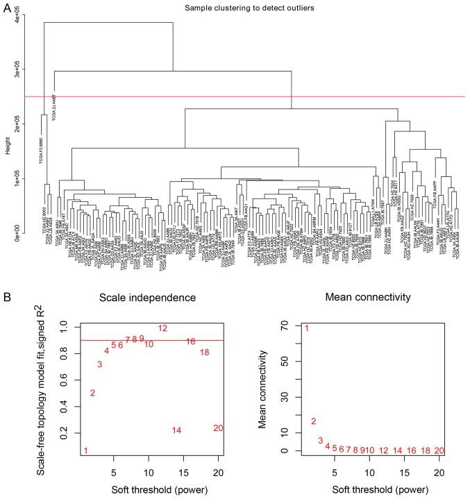 https://cdn.ncbi.nlm.nih.gov/pmc/blobs/4193/6297786/1f12b4d9b1cb/MMR-19-01-0441-g00.jpg