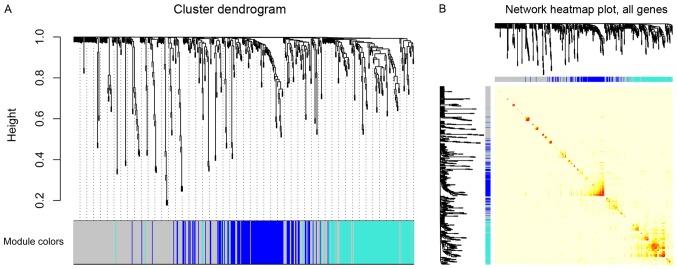 https://cdn.ncbi.nlm.nih.gov/pmc/blobs/4193/6297786/88158cabac8e/MMR-19-01-0441-g01.jpg