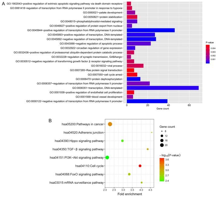 https://cdn.ncbi.nlm.nih.gov/pmc/blobs/4193/6297786/c0564a54dd7d/MMR-19-01-0441-g04.jpg