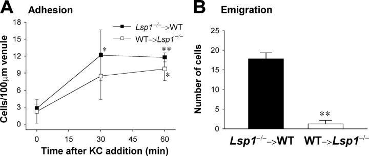 https://cdn.ncbi.nlm.nih.gov/pmc/blobs/4194/2213033/2e1e313f7fc4/20040830f8.jpg