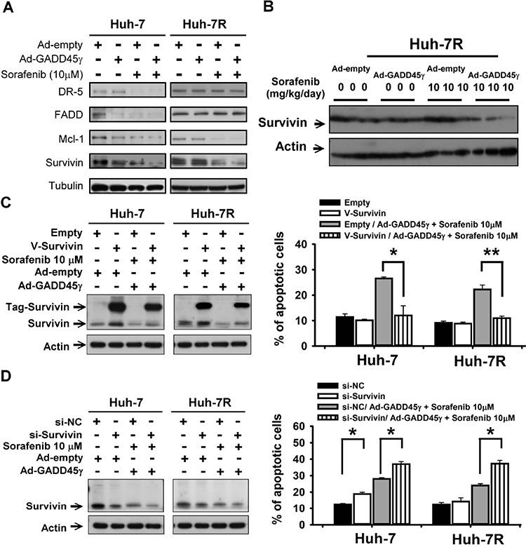 https://cdn.ncbi.nlm.nih.gov/pmc/blobs/4195/4695037/7681f759c22e/oncotarget-06-27953-g003.jpg