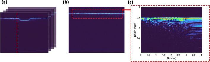 https://cdn.ncbi.nlm.nih.gov/pmc/blobs/4196/10522524/57346ab9ab7a/10103_2023_3886_Fig3_HTML.jpg