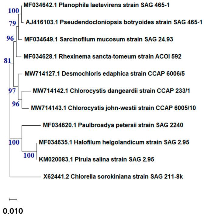 https://cdn.ncbi.nlm.nih.gov/pmc/blobs/4197/11356860/0ceaf3452d40/molecules-29-03750-g001.jpg