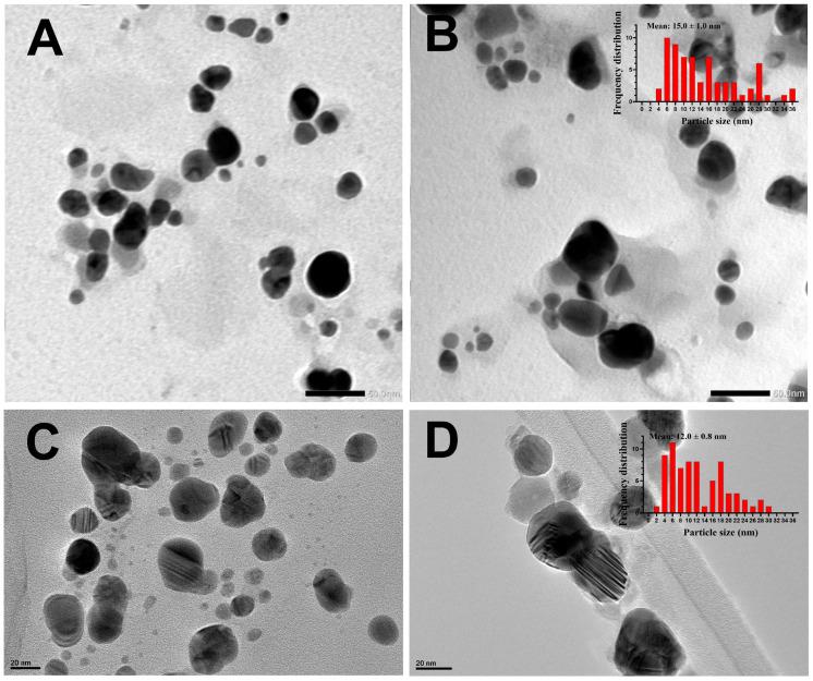 https://cdn.ncbi.nlm.nih.gov/pmc/blobs/4197/11356860/8dfe2bd85b94/molecules-29-03750-g005.jpg