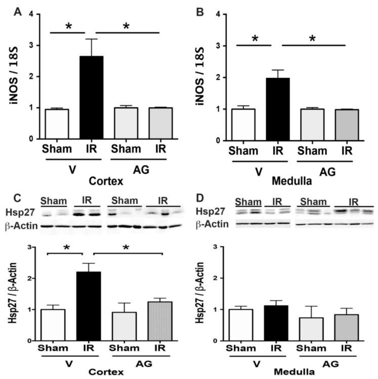 https://cdn.ncbi.nlm.nih.gov/pmc/blobs/4199/8614713/10d9b617f05a/antioxidants-10-01724-g006.jpg