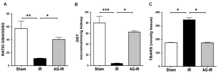 https://cdn.ncbi.nlm.nih.gov/pmc/blobs/4199/8614713/3896c8480617/antioxidants-10-01724-g005.jpg