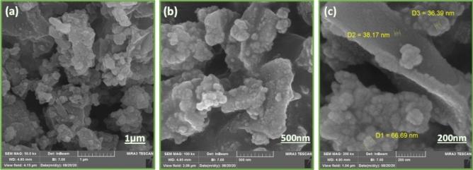 https://cdn.ncbi.nlm.nih.gov/pmc/blobs/4199/8943073/76bdabf710dd/41598_2022_8868_Fig4_HTML.jpg