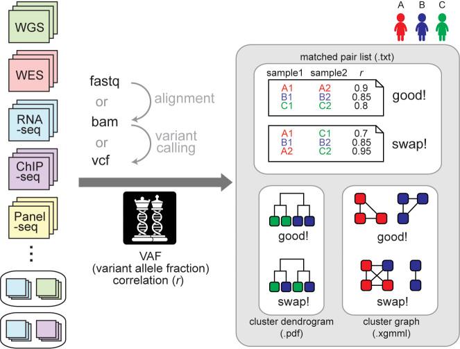 https://cdn.ncbi.nlm.nih.gov/pmc/blobs/419a/5499645/daec1a827fb8/gkx193fig1.jpg