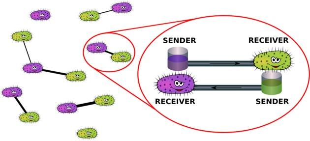 https://cdn.ncbi.nlm.nih.gov/pmc/blobs/419b/4137228/7c40af6b75ed/fmicb-05-00407-g0002.jpg