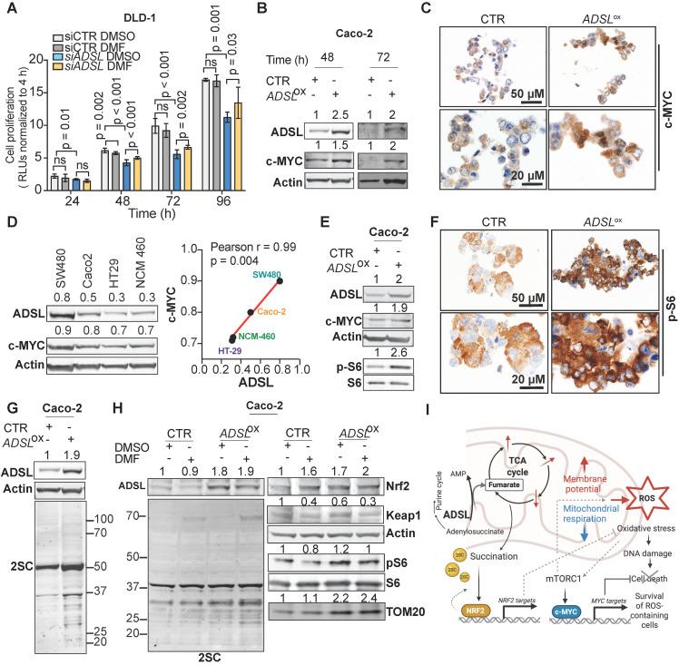 https://cdn.ncbi.nlm.nih.gov/pmc/blobs/419d/7977451/03bbe574be2d/thnov11p4011g006.jpg