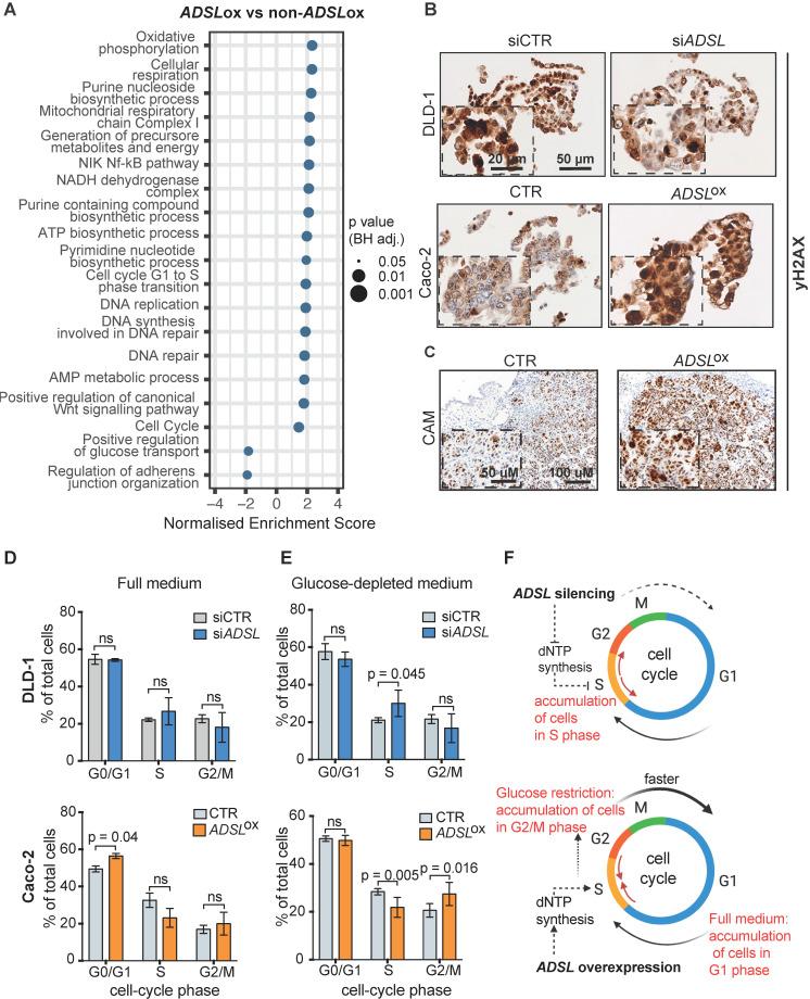 https://cdn.ncbi.nlm.nih.gov/pmc/blobs/419d/7977451/164293250a8a/thnov11p4011g003.jpg