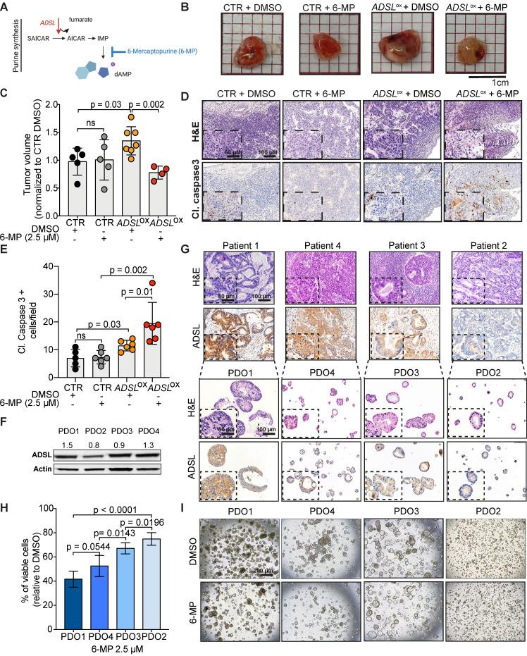 https://cdn.ncbi.nlm.nih.gov/pmc/blobs/419d/7977451/3e047687d810/thnov11p4011g004.jpg
