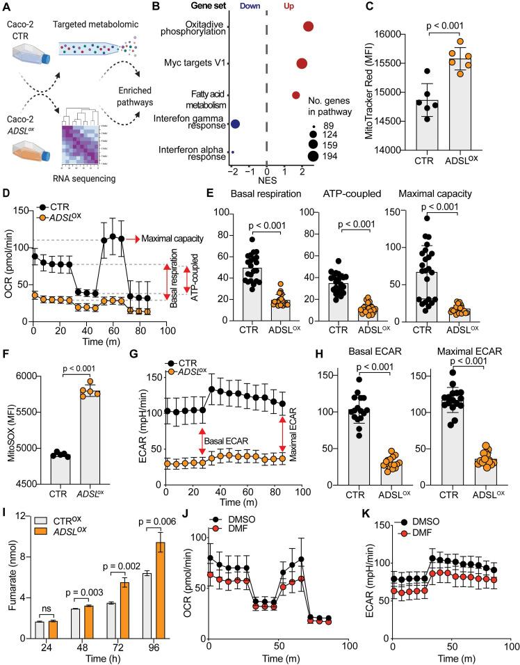 https://cdn.ncbi.nlm.nih.gov/pmc/blobs/419d/7977451/a545a848227e/thnov11p4011g005.jpg