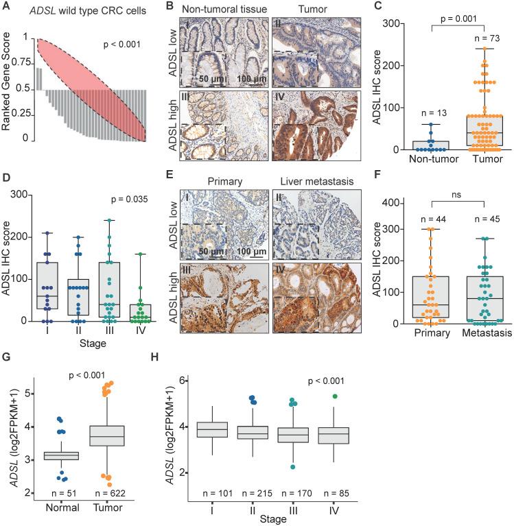 https://cdn.ncbi.nlm.nih.gov/pmc/blobs/419d/7977451/c1284b67f326/thnov11p4011g001.jpg