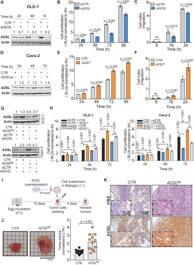 https://cdn.ncbi.nlm.nih.gov/pmc/blobs/419d/7977451/d7c751eb81f6/thnov11p4011g002.jpg