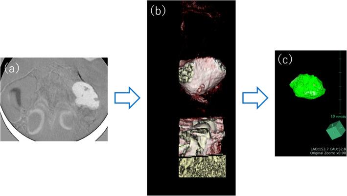 https://cdn.ncbi.nlm.nih.gov/pmc/blobs/419d/7985233/d6472a575d5f/40729_2021_303_Fig4_HTML.jpg