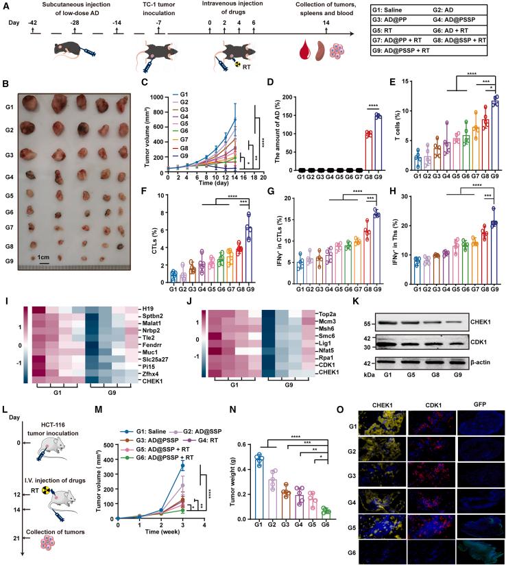 https://cdn.ncbi.nlm.nih.gov/pmc/blobs/419f/12147856/0cd03f809c5e/gr4.jpg