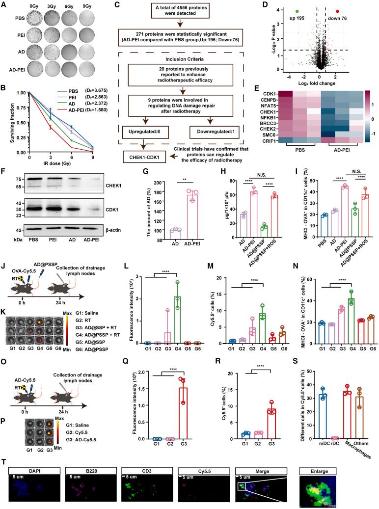 https://cdn.ncbi.nlm.nih.gov/pmc/blobs/419f/12147856/78b8c93e9be7/gr3.jpg