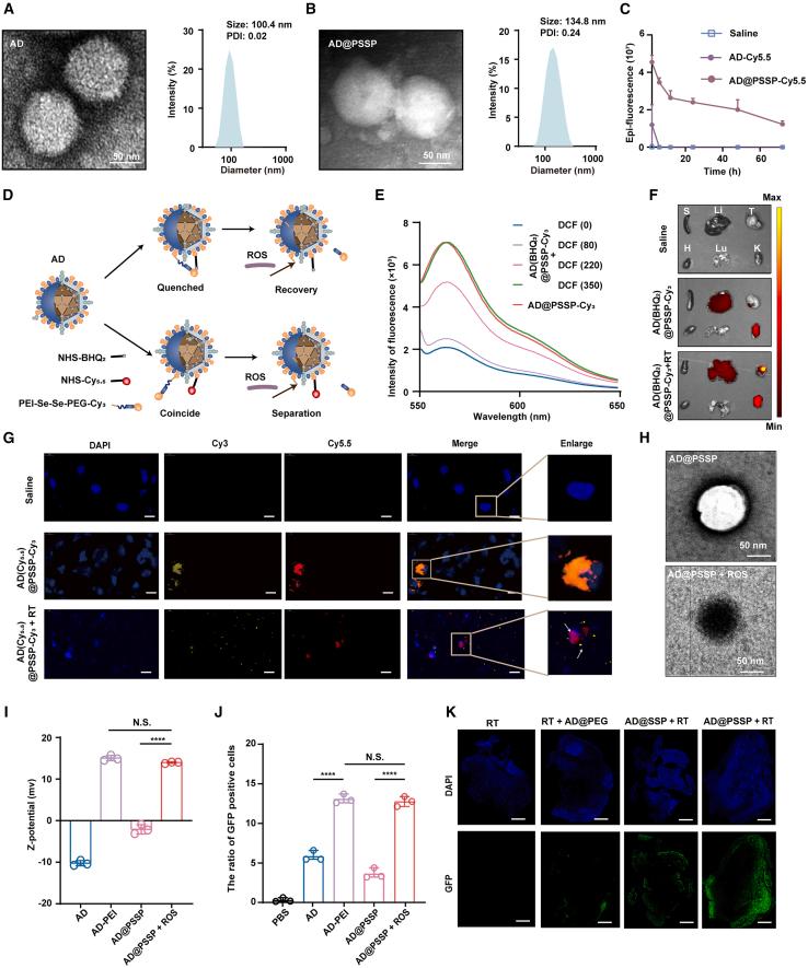https://cdn.ncbi.nlm.nih.gov/pmc/blobs/419f/12147856/f61e94f38d31/gr2.jpg
