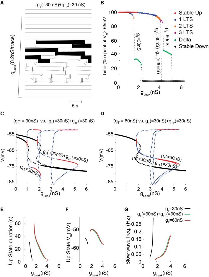 https://cdn.ncbi.nlm.nih.gov/pmc/blobs/41a3/4766279/8057e011041c/fncir-10-00010-g0006.jpg