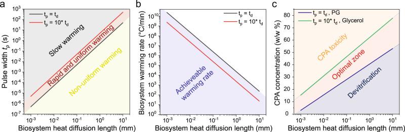 https://cdn.ncbi.nlm.nih.gov/pmc/blobs/41a4/9556611/a12f25230c0e/41467_2022_33546_Fig6_HTML.jpg