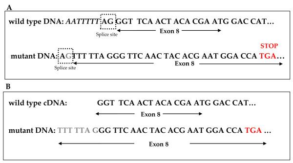 https://cdn.ncbi.nlm.nih.gov/pmc/blobs/41a5/2918579/6e148875204d/1471-2407-10-389-2.jpg