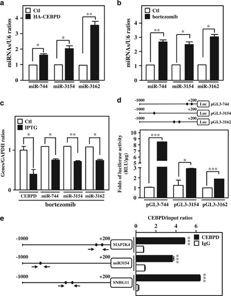 https://cdn.ncbi.nlm.nih.gov/pmc/blobs/41a5/5775404/195286af5c79/cddis2017520f4.jpg