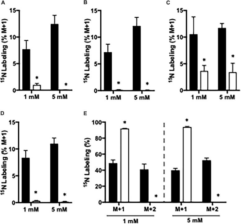 https://cdn.ncbi.nlm.nih.gov/pmc/blobs/41a6/8244593/33ad8fc003ff/fnins-15-646291-g002.jpg