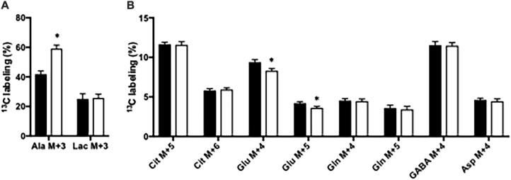 https://cdn.ncbi.nlm.nih.gov/pmc/blobs/41a6/8244593/57456da59876/fnins-15-646291-g001.jpg