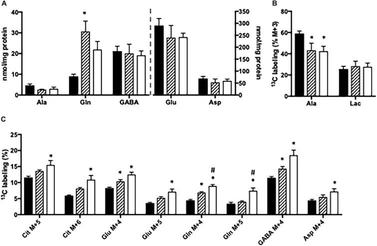 https://cdn.ncbi.nlm.nih.gov/pmc/blobs/41a6/8244593/b25f7e76233f/fnins-15-646291-g004.jpg