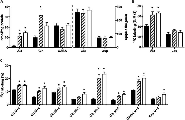 https://cdn.ncbi.nlm.nih.gov/pmc/blobs/41a6/8244593/e94c5eea2b33/fnins-15-646291-g003.jpg