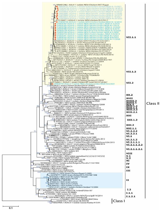 https://cdn.ncbi.nlm.nih.gov/pmc/blobs/41a8/9698863/19c235f1e3a6/vaccines-10-01862-g003.jpg