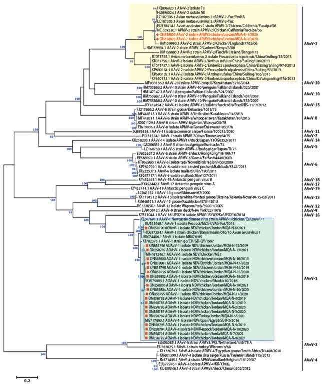 https://cdn.ncbi.nlm.nih.gov/pmc/blobs/41a8/9698863/ae3b8ee281ad/vaccines-10-01862-g002.jpg