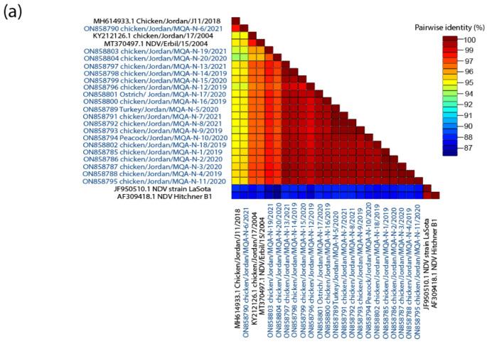 https://cdn.ncbi.nlm.nih.gov/pmc/blobs/41a8/9698863/eb1c4f85dd98/vaccines-10-01862-g004a.jpg