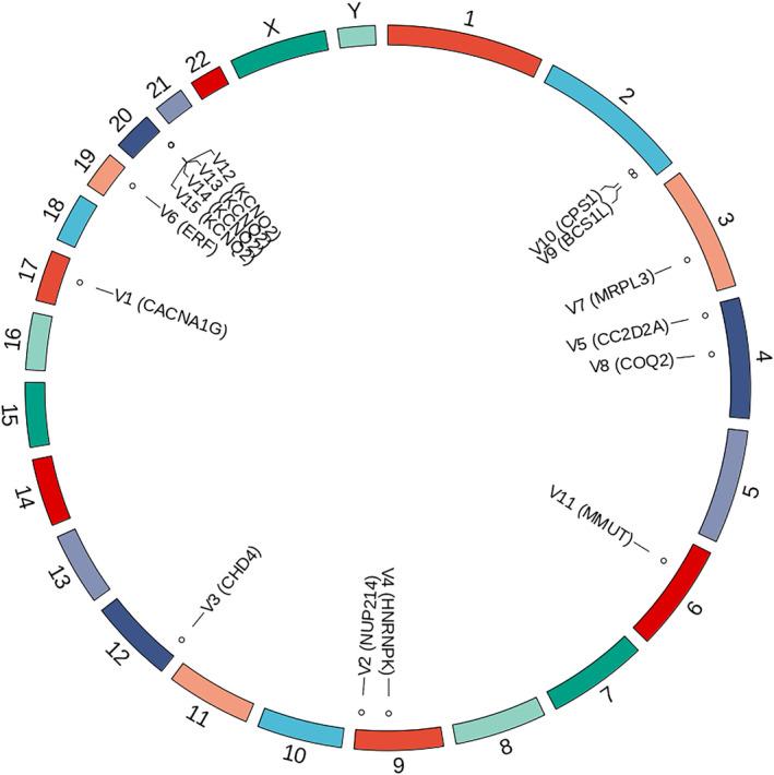 https://cdn.ncbi.nlm.nih.gov/pmc/blobs/41a9/10795097/2f5832d8f66d/MGG3-12-e2354-g005.jpg