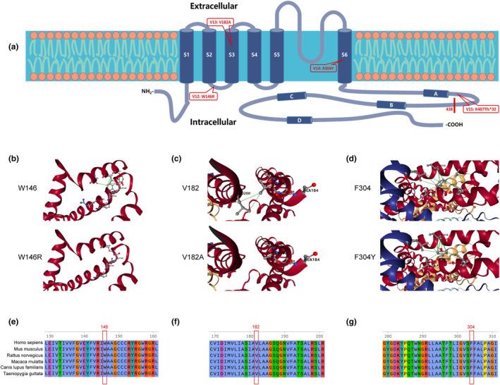 https://cdn.ncbi.nlm.nih.gov/pmc/blobs/41a9/10795097/b59bce5eb6da/MGG3-12-e2354-g002.jpg