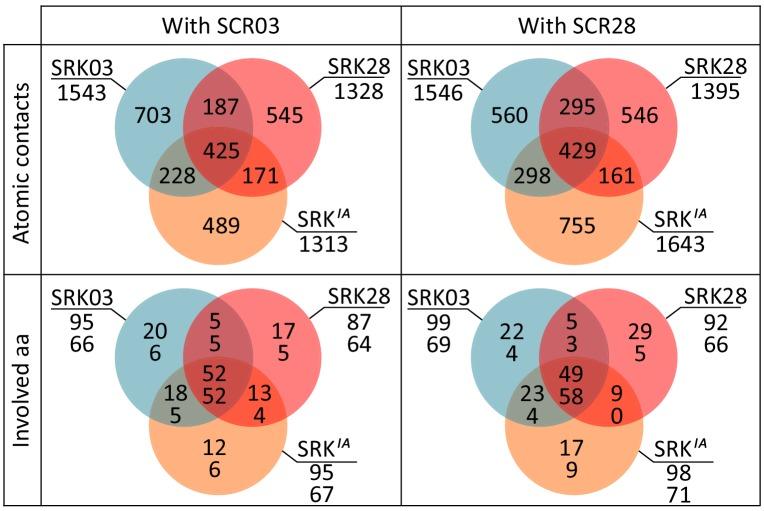 https://cdn.ncbi.nlm.nih.gov/pmc/blobs/41ab/6908432/30b9e150ea09/elife-50253-fig6-figsupp1.jpg