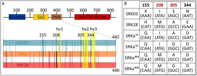 https://cdn.ncbi.nlm.nih.gov/pmc/blobs/41ab/6908432/675c8e97ca46/elife-50253-fig3-figsupp1.jpg